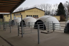WhatsApp-Image-2020-12-08-at-08.09.38-Kopie