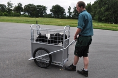 CalfBuggy einfacher Transport Ihrer Kälber